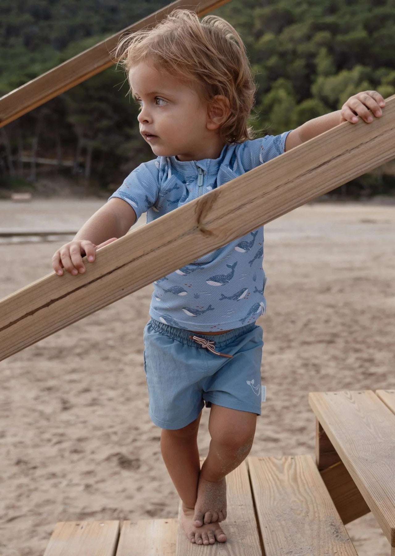 CL26030563 - Mare Bimbo - LITTLE DUTCH