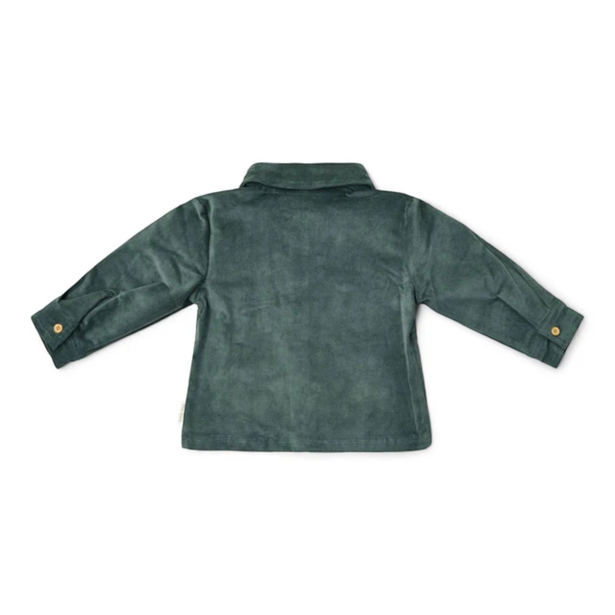 Camicia - Amici della foresta Bimbo Verde CL25091073 corredino e abbigliamento neonato | NANU' BABY
