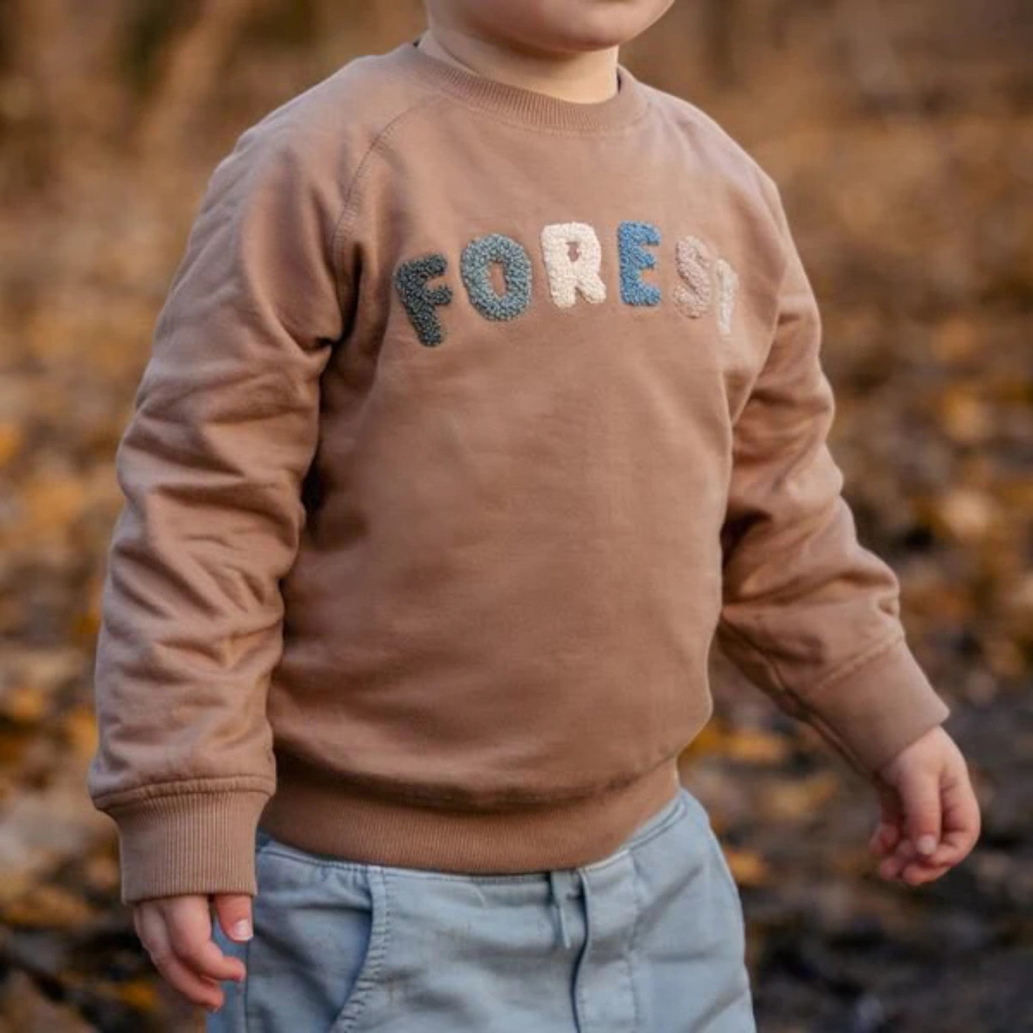 Maglia - Amici della foresta Bimbo Marrone CL25092067 corredino e abbigliamento neonato | NANU' BABY