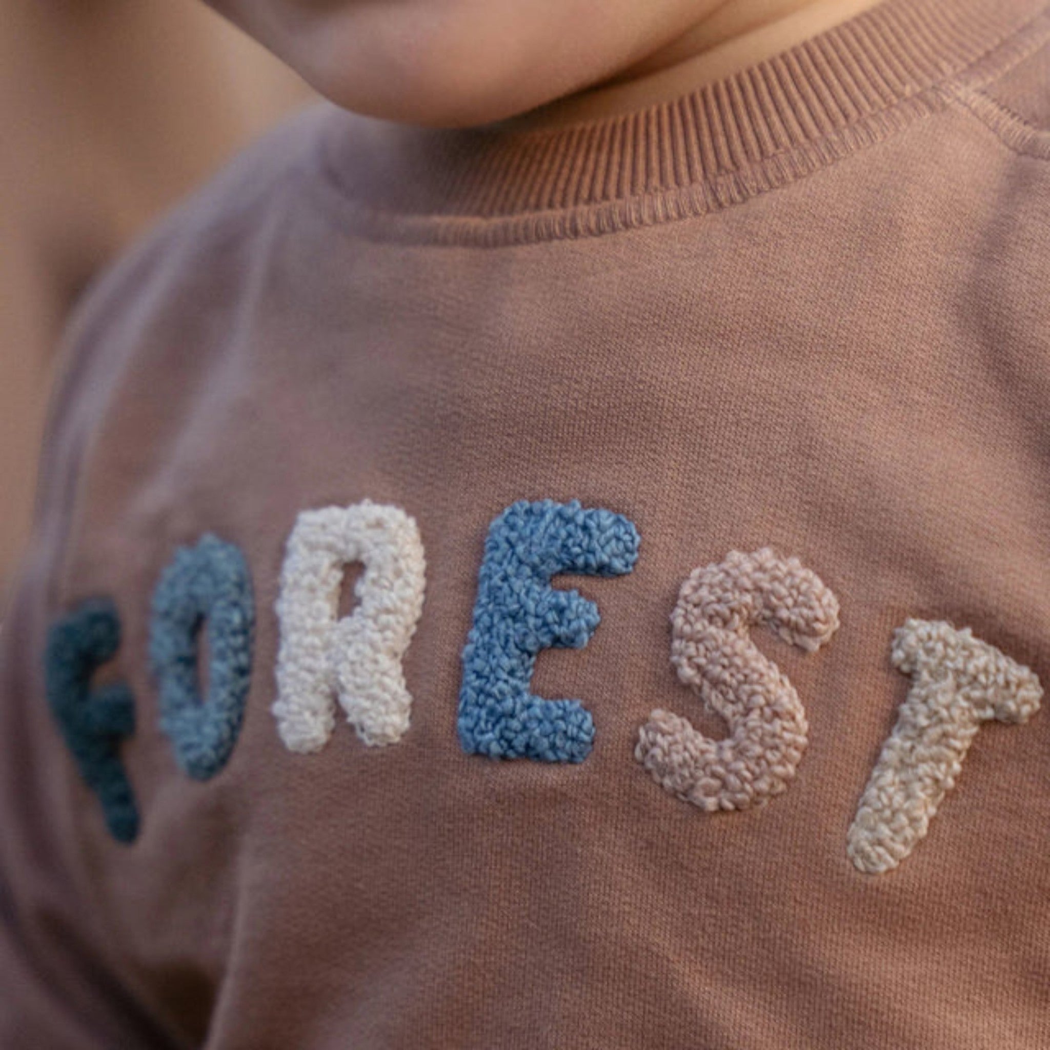 Maglia - Amici della foresta Bimbo Marrone CL25092067 corredino e abbigliamento neonato | NANU' BABY