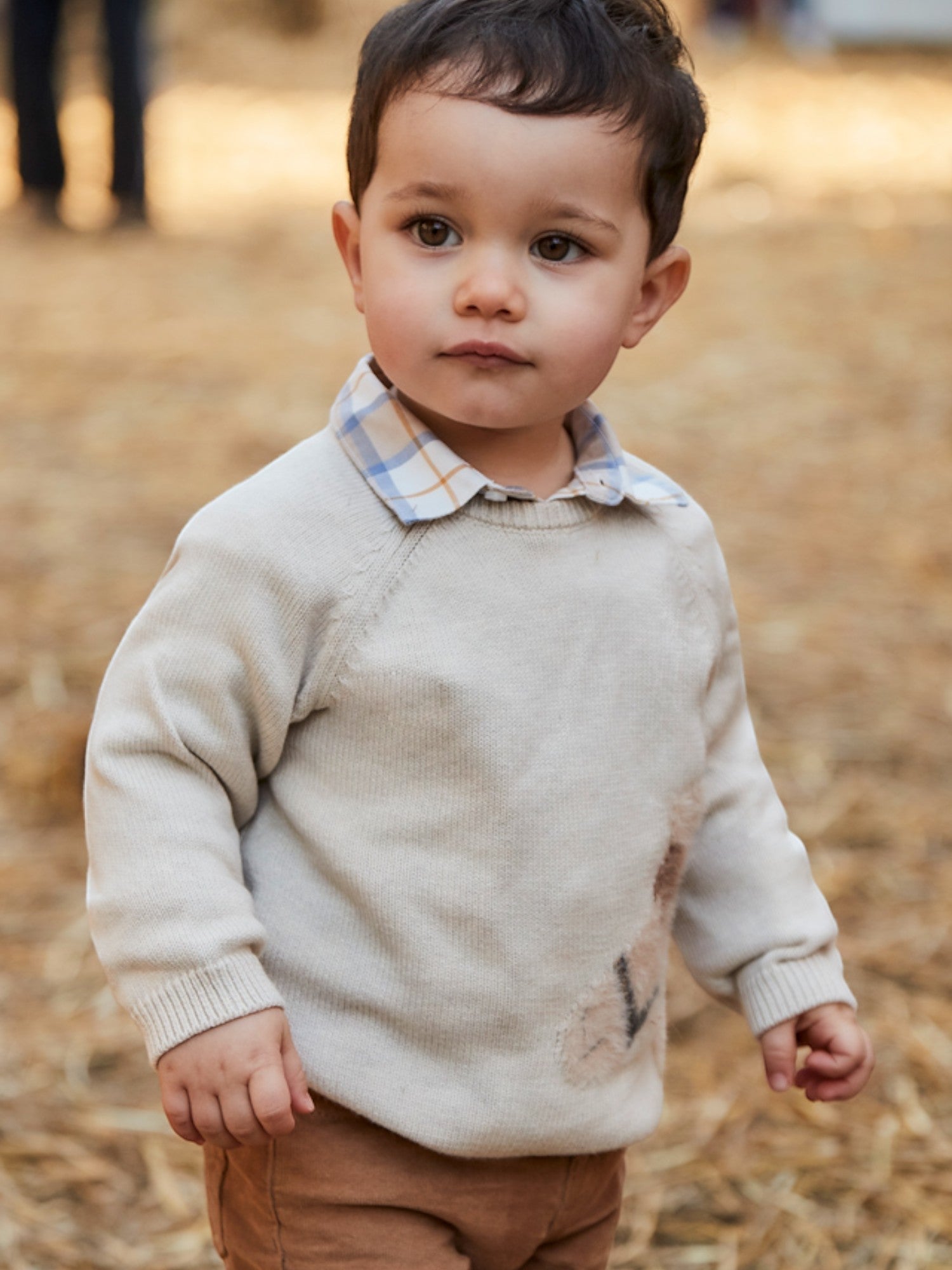 Maglioncino intarsio animal Bimbo Beige 2345/22 corredino e abbigliamento neonato | NANU' BABY