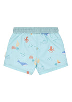 CL26030559 - Mare Bimbo - LITTLE DUTCH