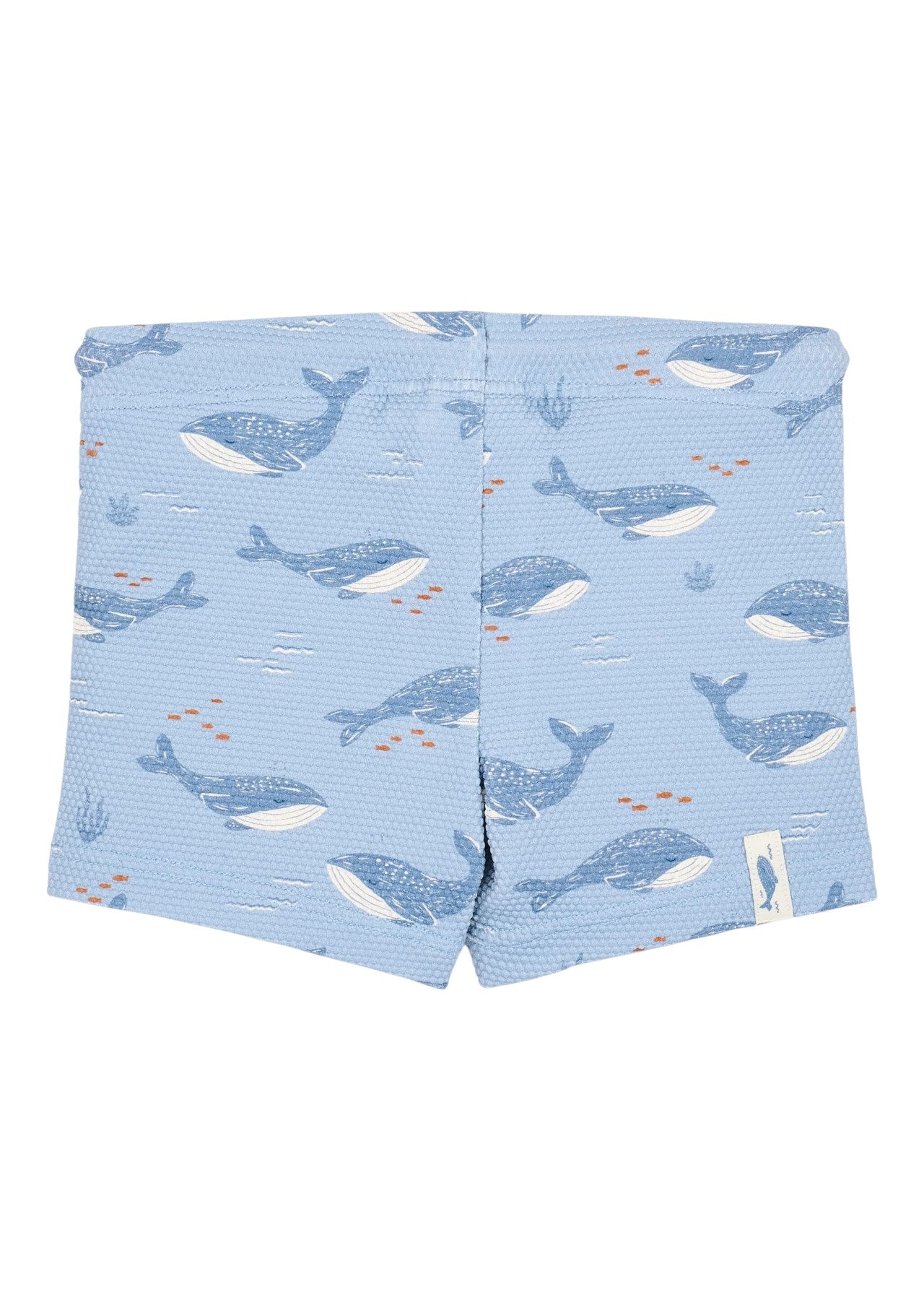 CL26030501 - Mare Bimbo - LITTLE DUTCH