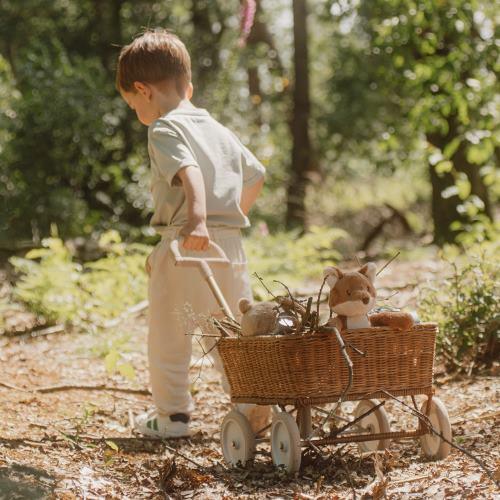 Piccola Volpe - Amici della foresta MULTICOLORE LD8904 corredino e abbigliamento neonato | NANU' BABY