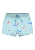 CL26030559 - Mare Bimbo - LITTLE DUTCH